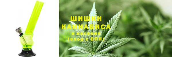 наркотики Бородино