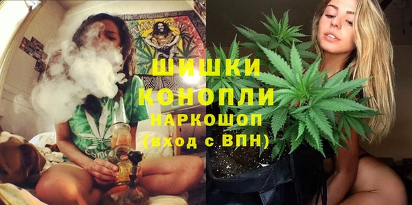 ПСИЛОЦИБИНОВЫЕ ГРИБЫ Бронницы