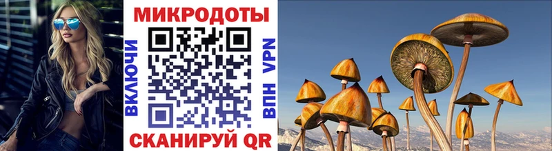 мега   Нижневартовск  Псилоцибиновые грибы Magic Shrooms  закладка 